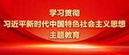 男人插女人的屄的视频学习贯彻习近平新时代中国特色社会主义思想主题教育_fororder_ad-371X160(2)